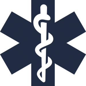 healthcare icon